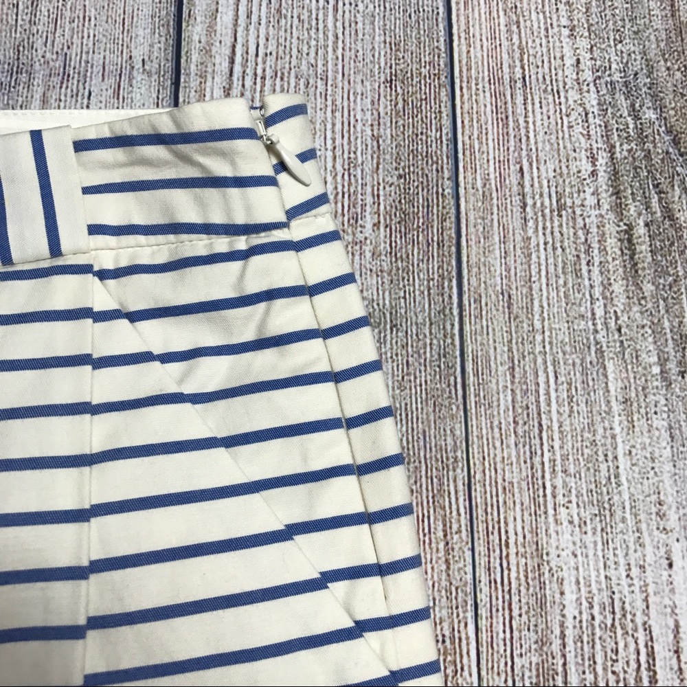 The Limited Skirt - Picture 4 of 7